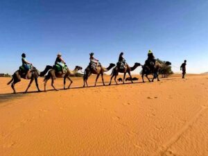 Desert tour from Marrakech - From Fes