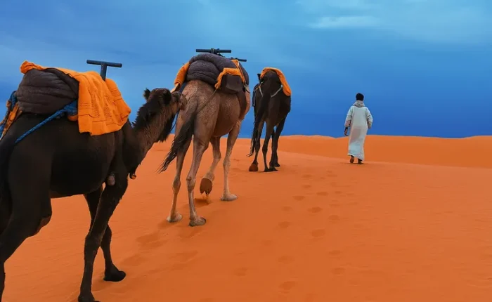 3-Day desert tour from Marrakech to Merzouga - Private Trip